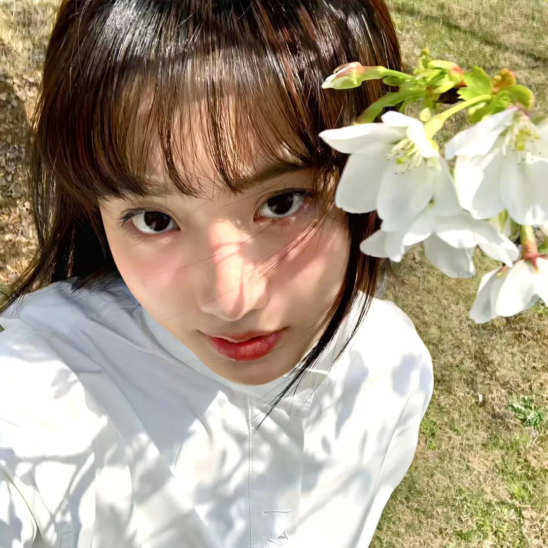 四时花未眠